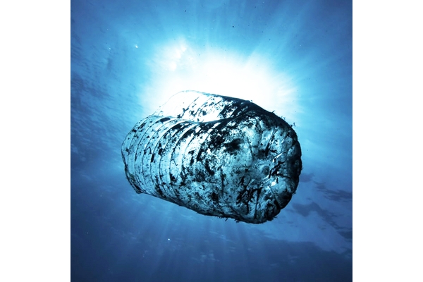 plastic pollution